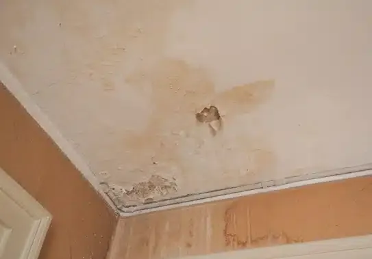 Ceiling leak in residential home in Summerville, SC.